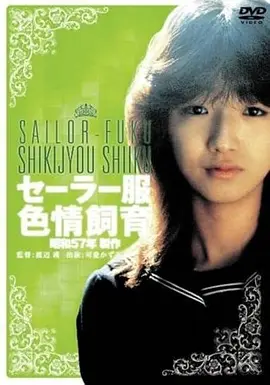 钢索上的黎明